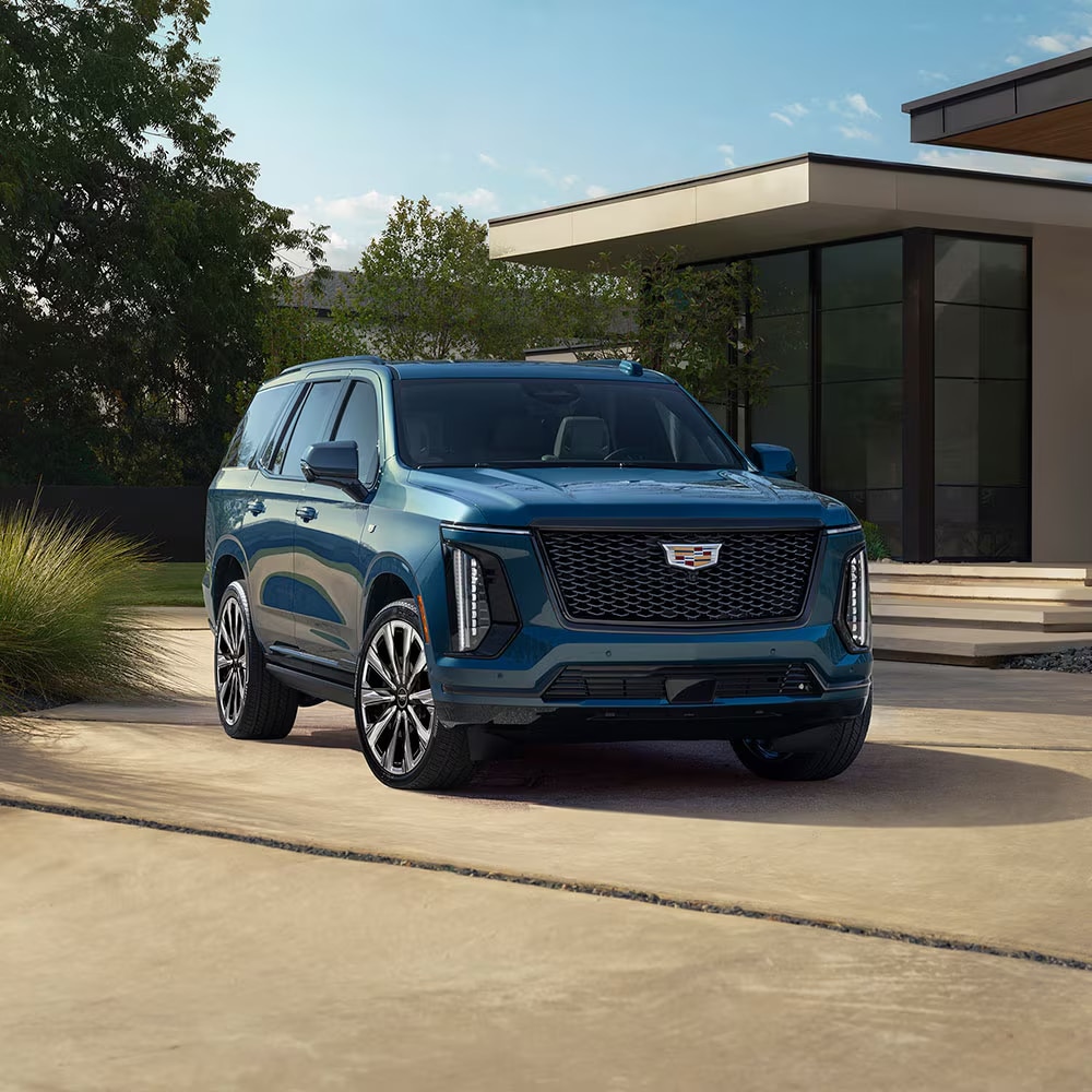 Galería Escalade 2026