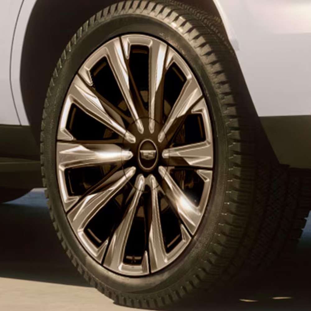 Galería Escalade 2026